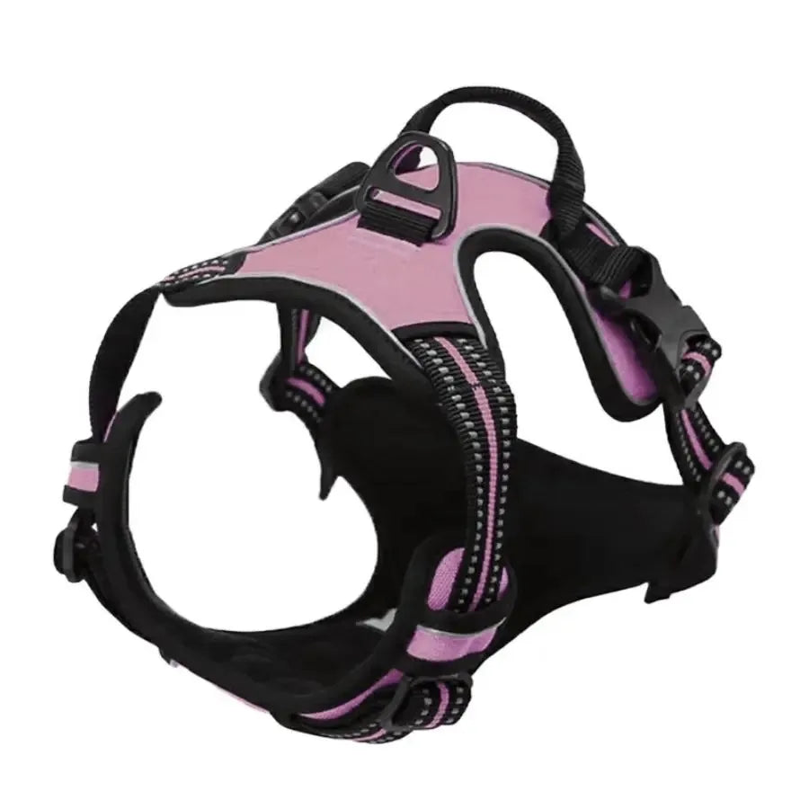 Canine Harness