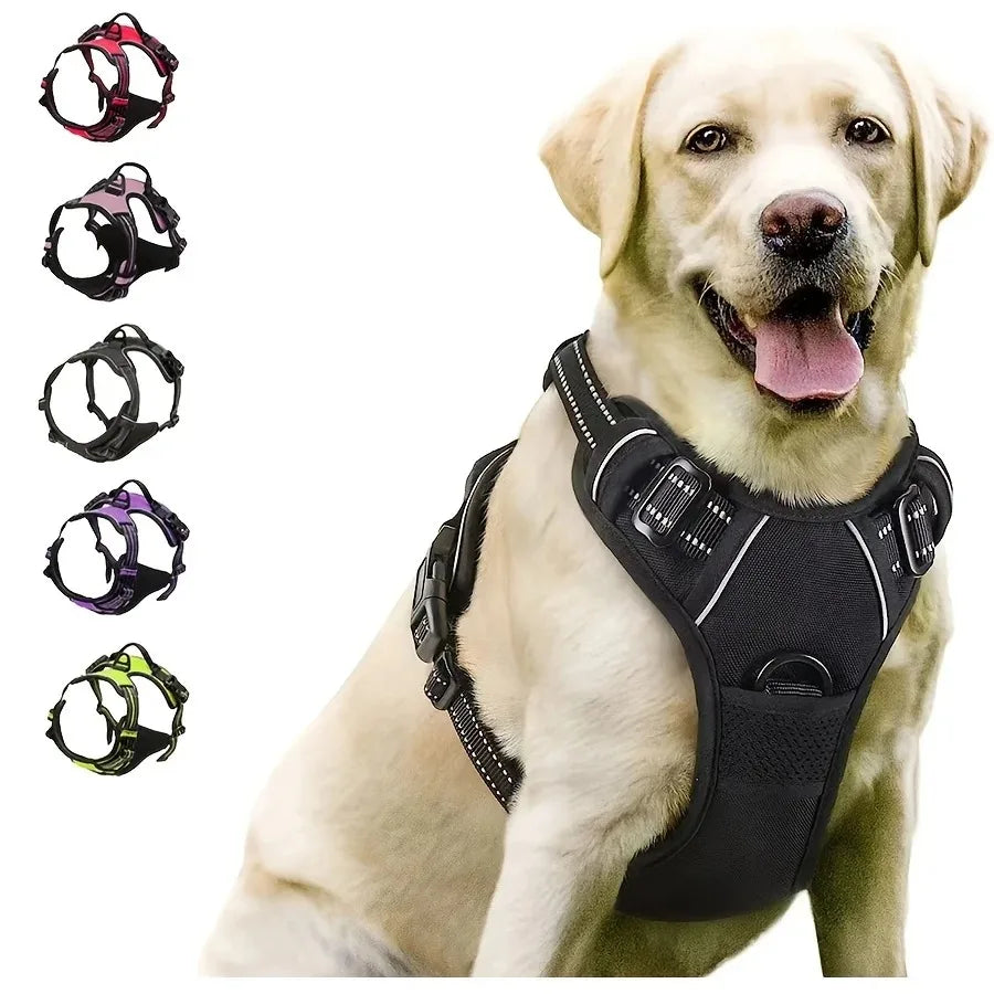 Canine Harness