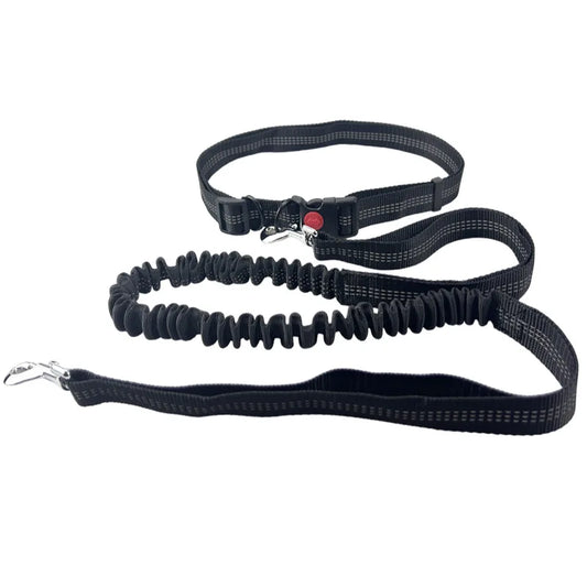 Hand Free Leash