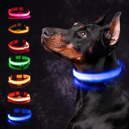 GlowPup Collar