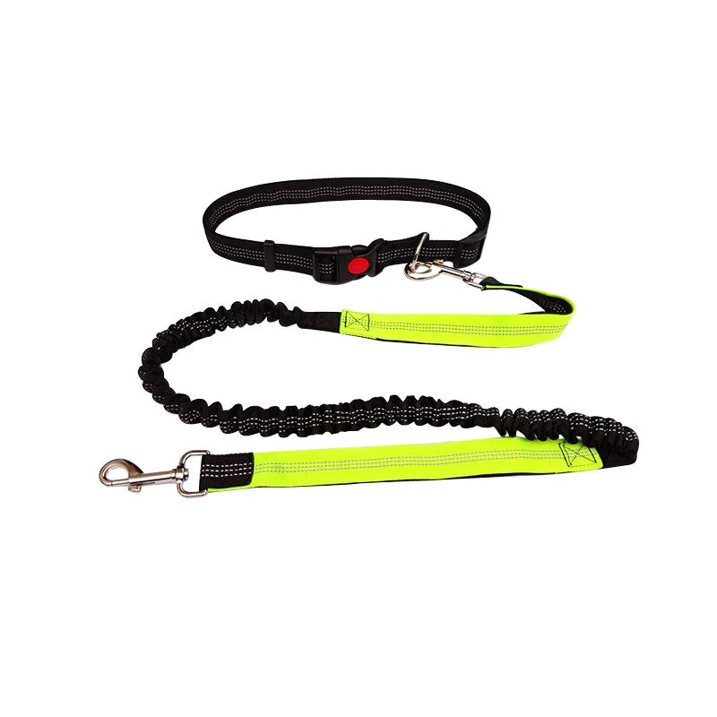 Hand Free Leash