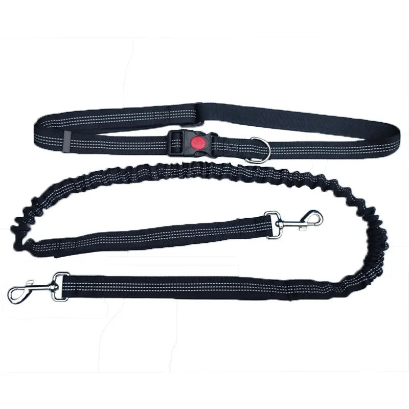 Hand Free Leash