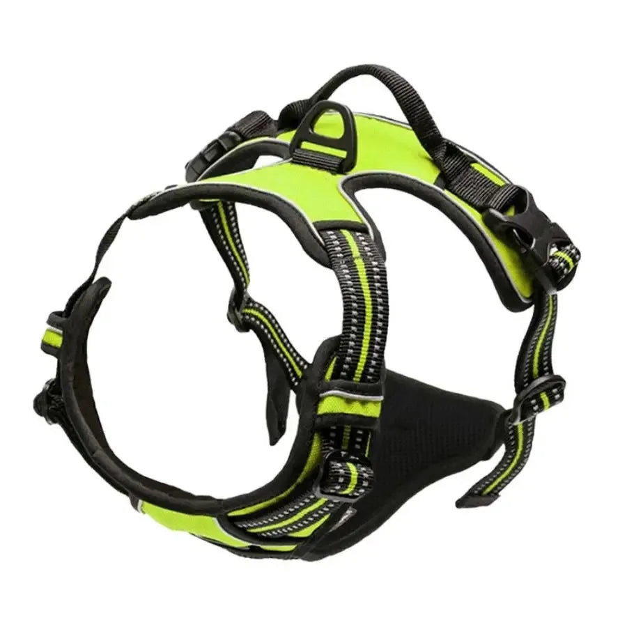 Canine Harness