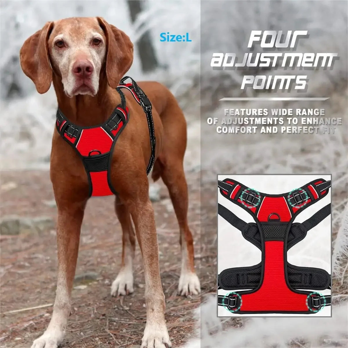 Canine Harness