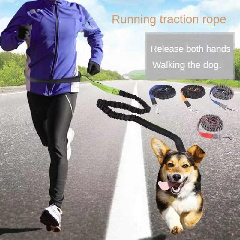 Hand Free Leash